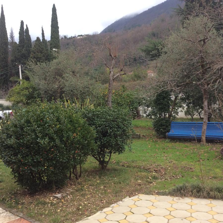 Guest House Dali Gagra Esterno foto