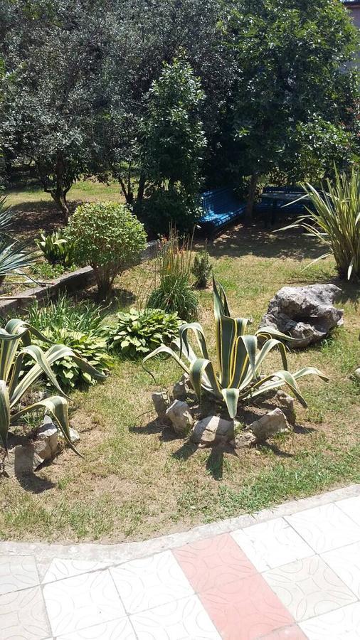 Guest House Dali Gagra Esterno foto
