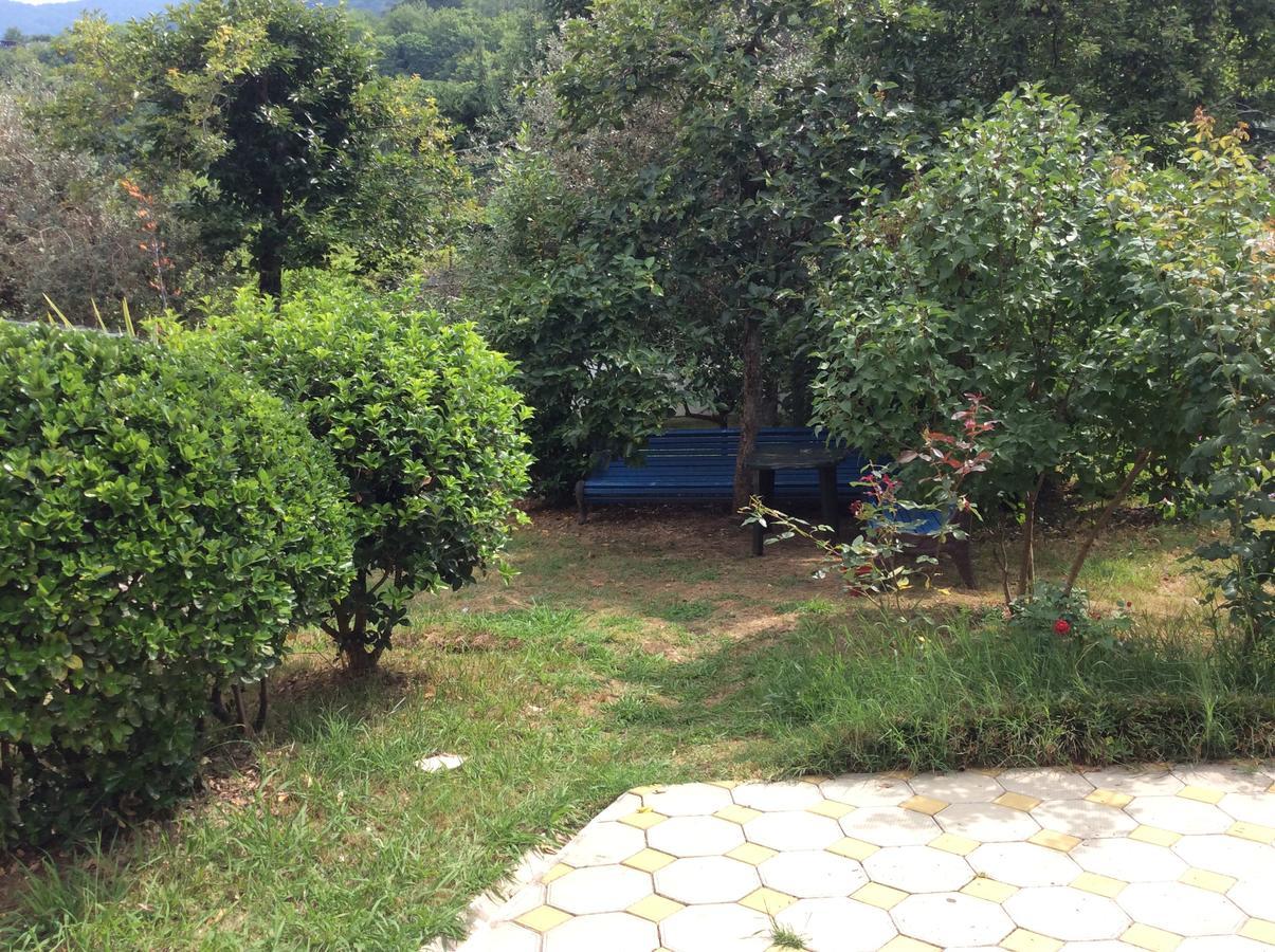 Guest House Dali Gagra Esterno foto