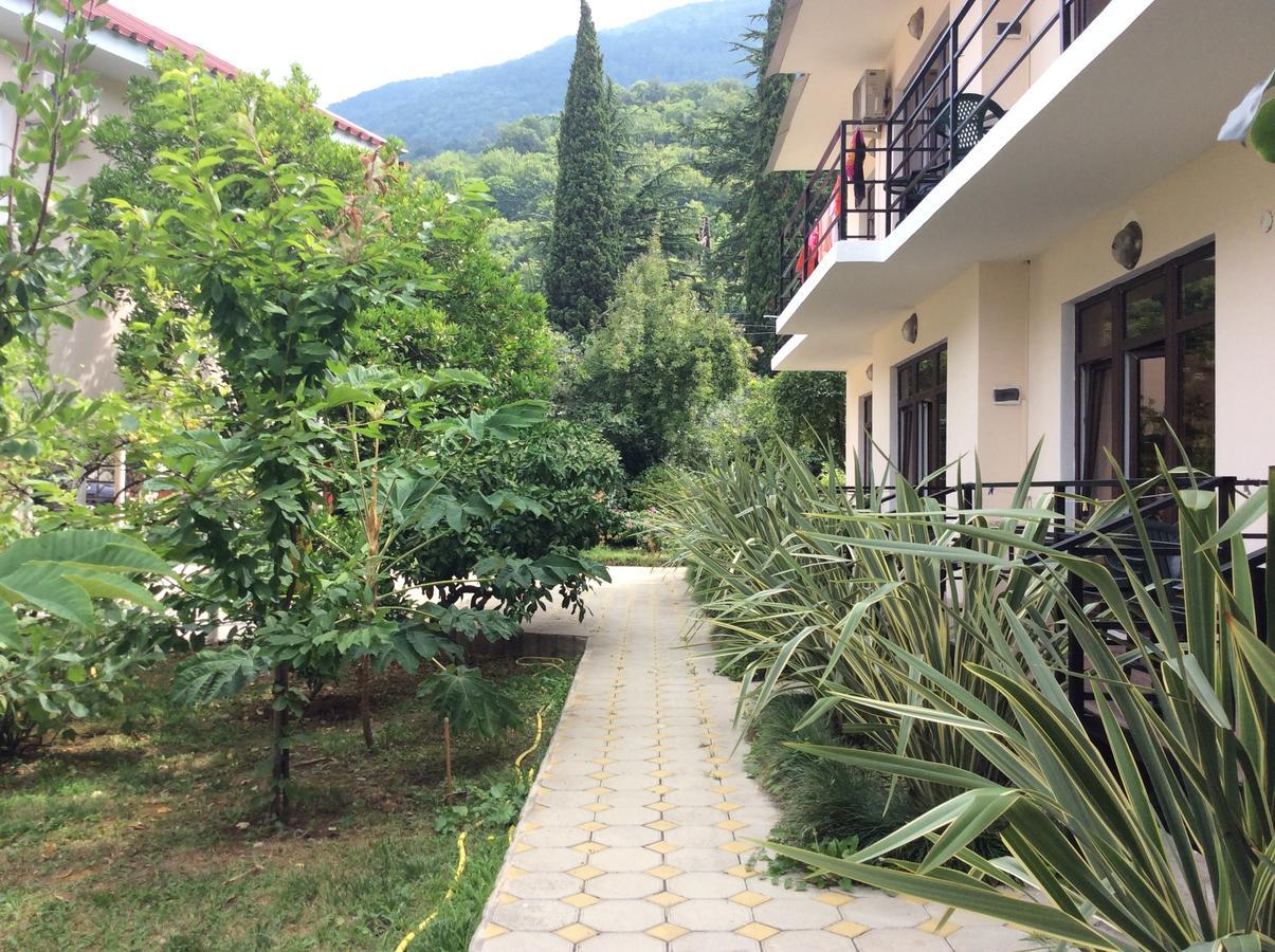 Guest House Dali Gagra Esterno foto