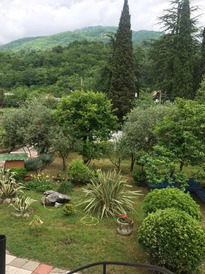 Guest House Dali Gagra Esterno foto