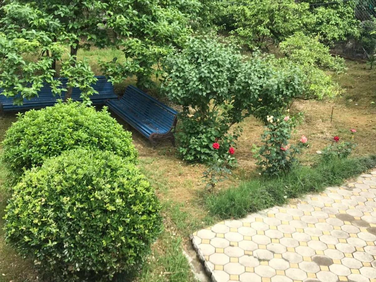 Guest House Dali Gagra Esterno foto