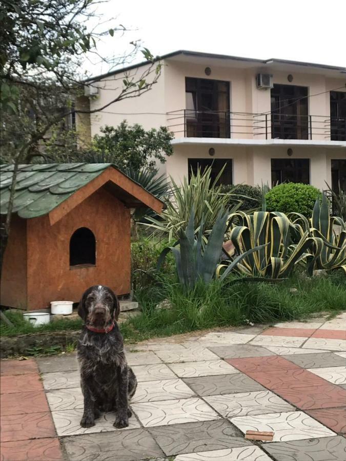 Guest House Dali Gagra Esterno foto